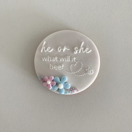 Baby op komst? Maak met deze leuke stempel het perfecte koekje om het geslacht van het kindje te onthullen!